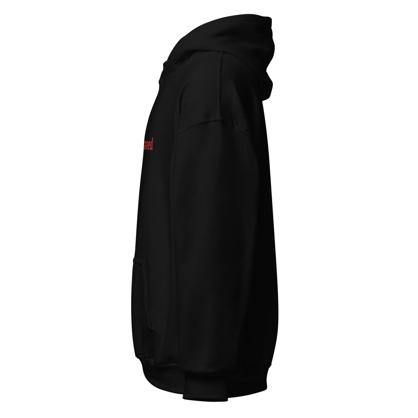 miss behaved hoodie